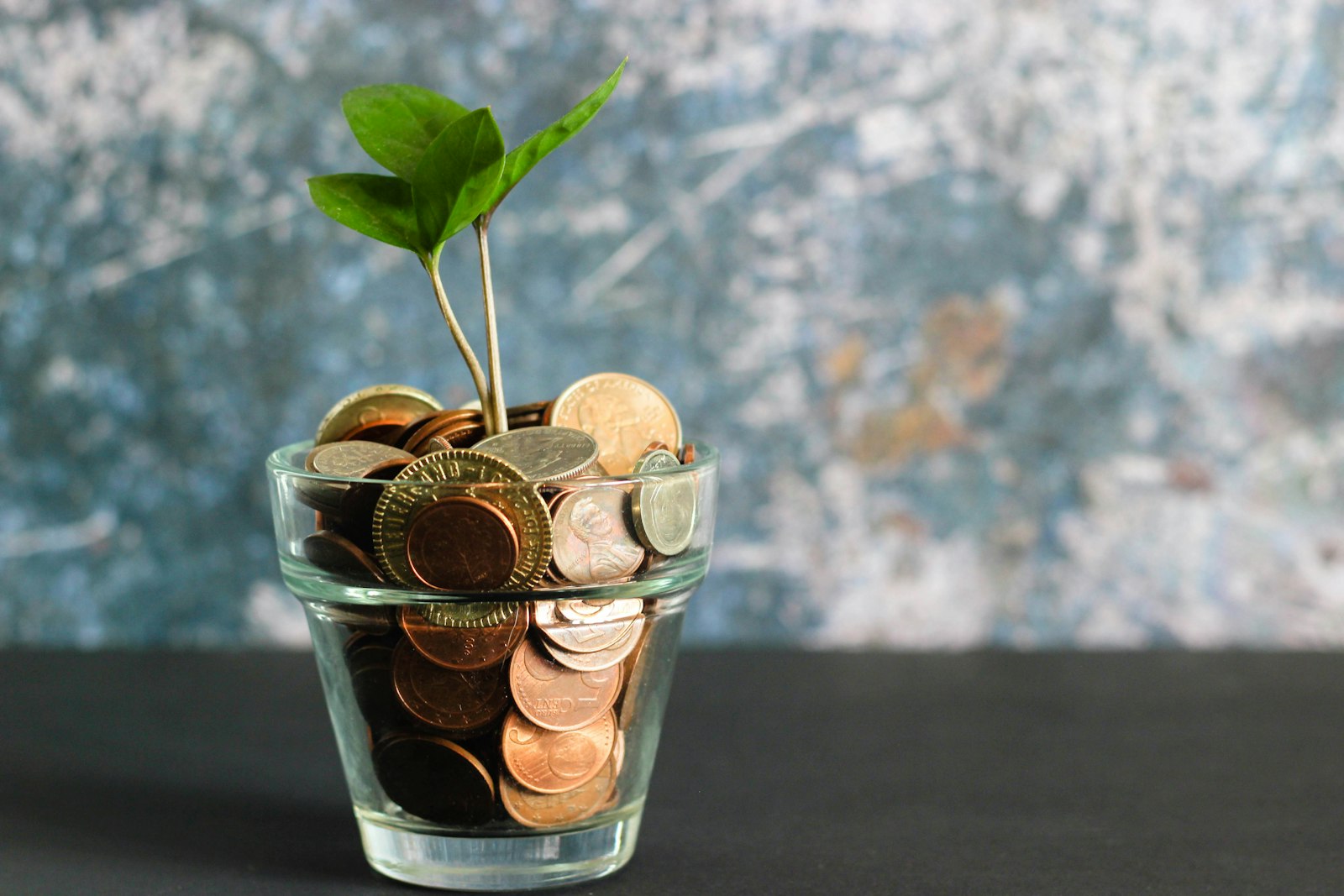 Scholarships and education loans