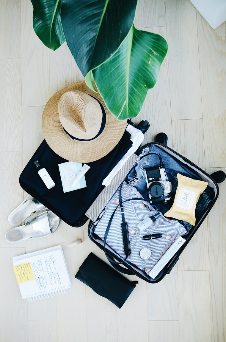 Travel and pre-departure